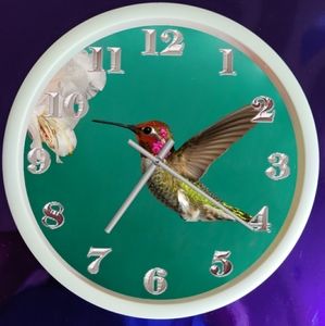 Hummingbird clock